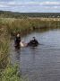 «Поплыл и исчез»: тело утонувшего мужчины нашли под Нижним Тагилом