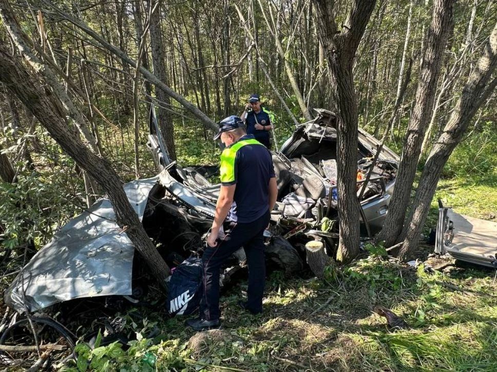 Управление автомобилем с опасным заболеванием привело к смертельному ДТП вблизи Верхней Пышмы Управление автомобилем с опасным заболеванием привело к смертельному ДТП вблизи Верхней Пышмы