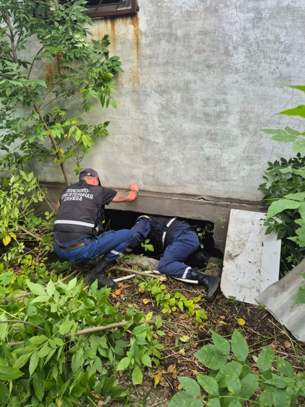 Малыш попал в беду — но всё закончилось хорошо Малыш попал в беду — но всё закончилось хорошо