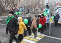 Сколько юных тагильчан выберет для себя "Безопасные дороги"?