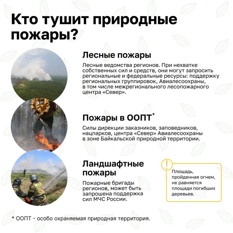 Впереди - выходные - прекрасная возможность провести время с семьей, выбрать занятие по душе Впереди - выходные - прекрасная возможность провести время с семьей, выбрать занятие по душе