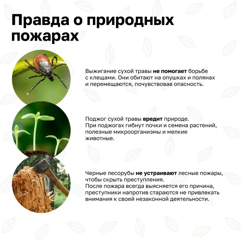 Впереди - выходные - прекрасная возможность провести время с семьей, выбрать занятие по душе Впереди - выходные - прекрасная возможность провести время с семьей, выбрать занятие по душе