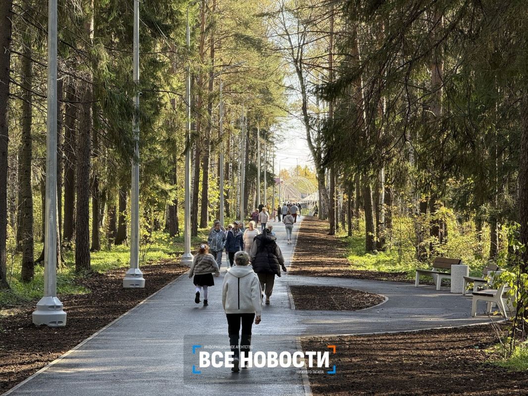 В Нижнем Тагиле открылся уютный парк: за него голосовали тысячи людей В Нижнем Тагиле открылся уютный парк: за него голосовали тысячи людей