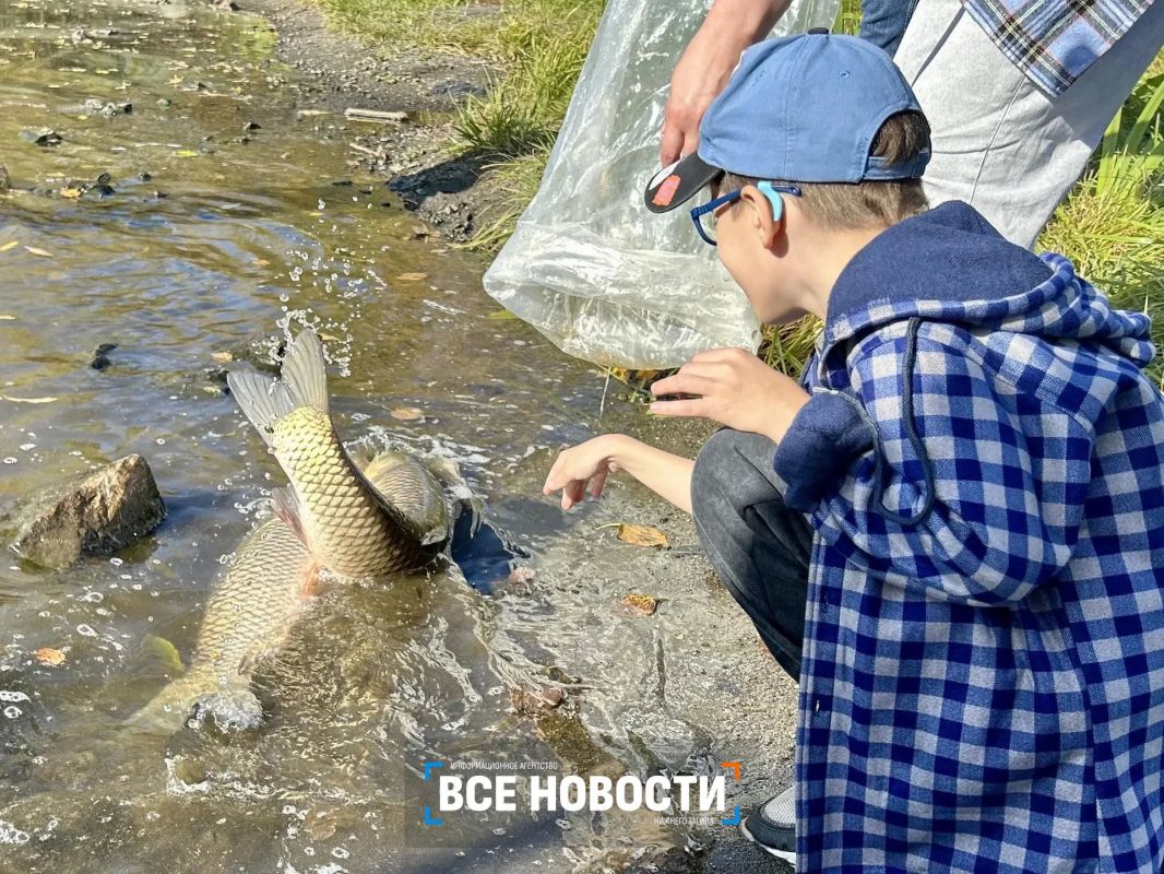 Сотня рыб-чистильщиков заселилась в Тагильский пруд Сотня рыб-чистильщиков заселилась в Тагильский пруд