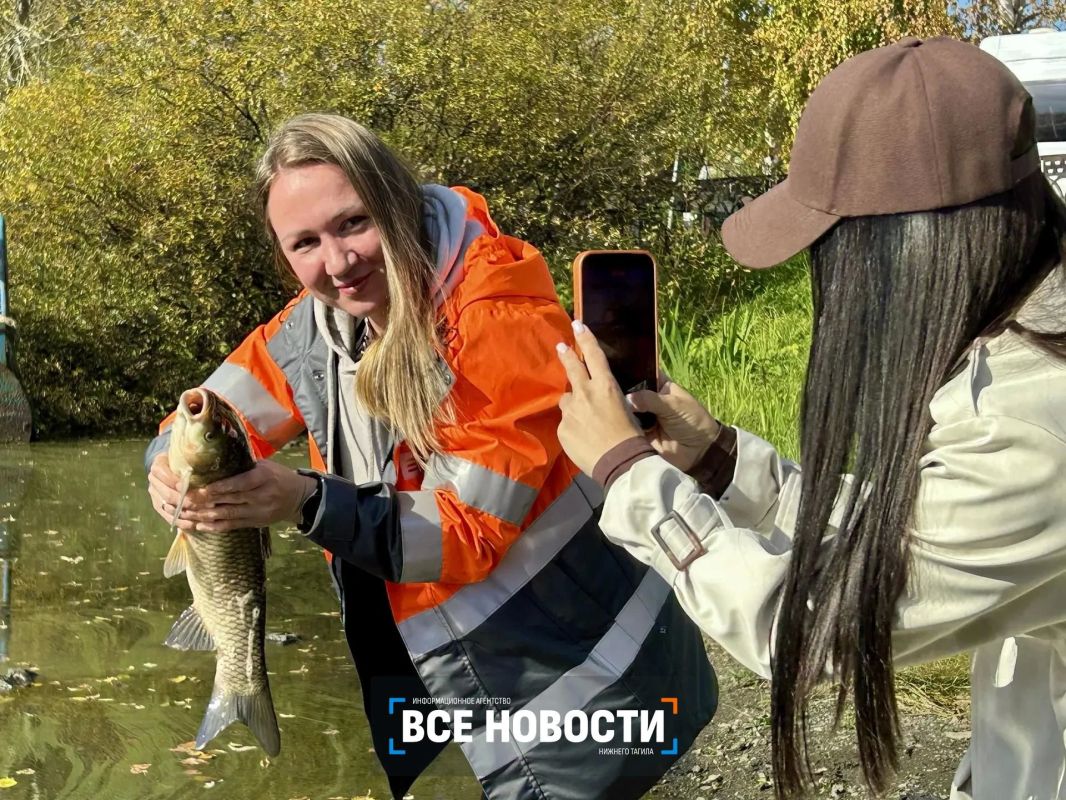 Сотня рыб-чистильщиков заселилась в Тагильский пруд Сотня рыб-чистильщиков заселилась в Тагильский пруд