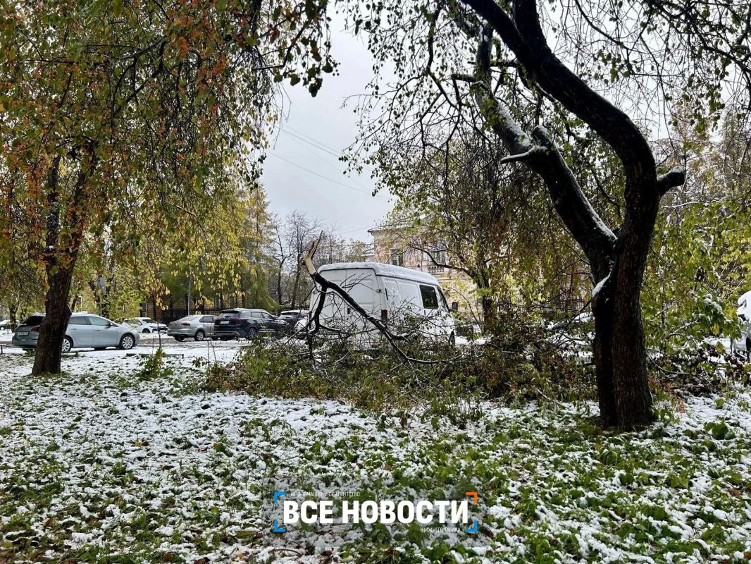 Мокрый снег обрушил деревья на машины в Нижнем Тагиле Мокрый снег обрушил деревья на машины в Нижнем Тагиле