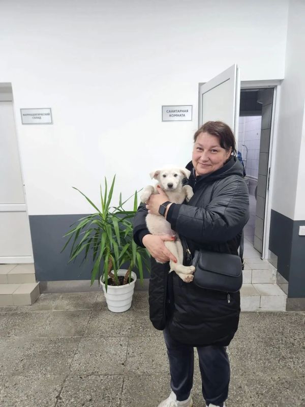 Центр временного содержания безнадзорных животных сообщает приятные новости!